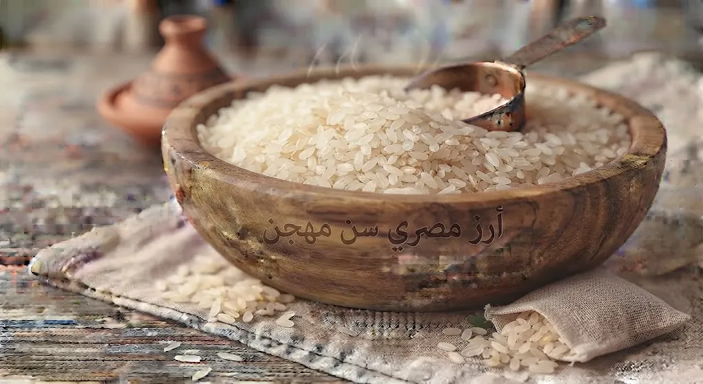 [GRN-01-003-0006] أرز مصري سن مهجن