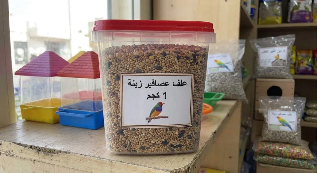 [FED-02-002-0001] علف عصافير زينة 1كجم