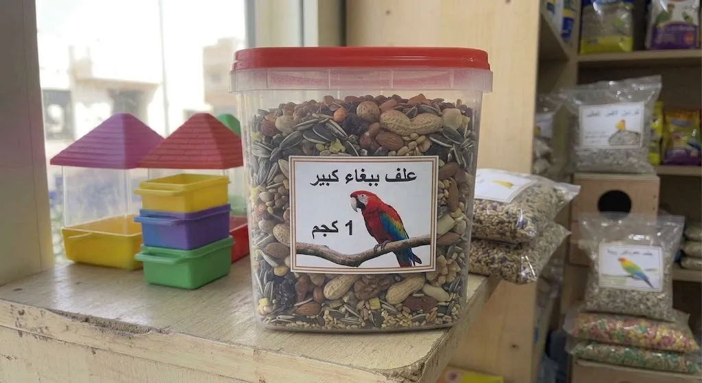 [FED-02-002-0004] Large Parrot Feed